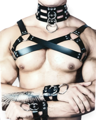 Wolf Harness Set