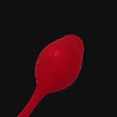 Video: Rosa Dream