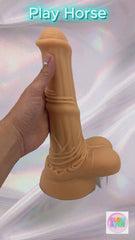 Video: Play Horse