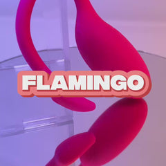 Video: Flamingo