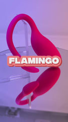 Video: Flamingo